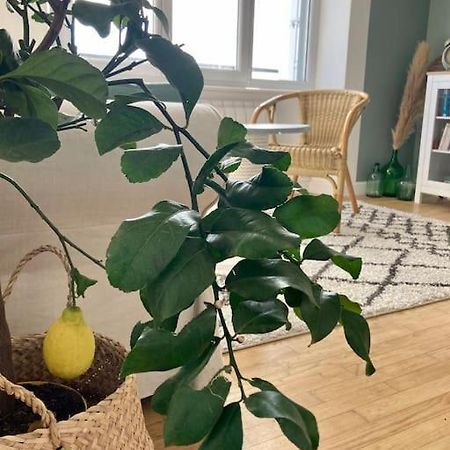 Le Citronnier Lejlighed Fouesnant Eksteriør billede